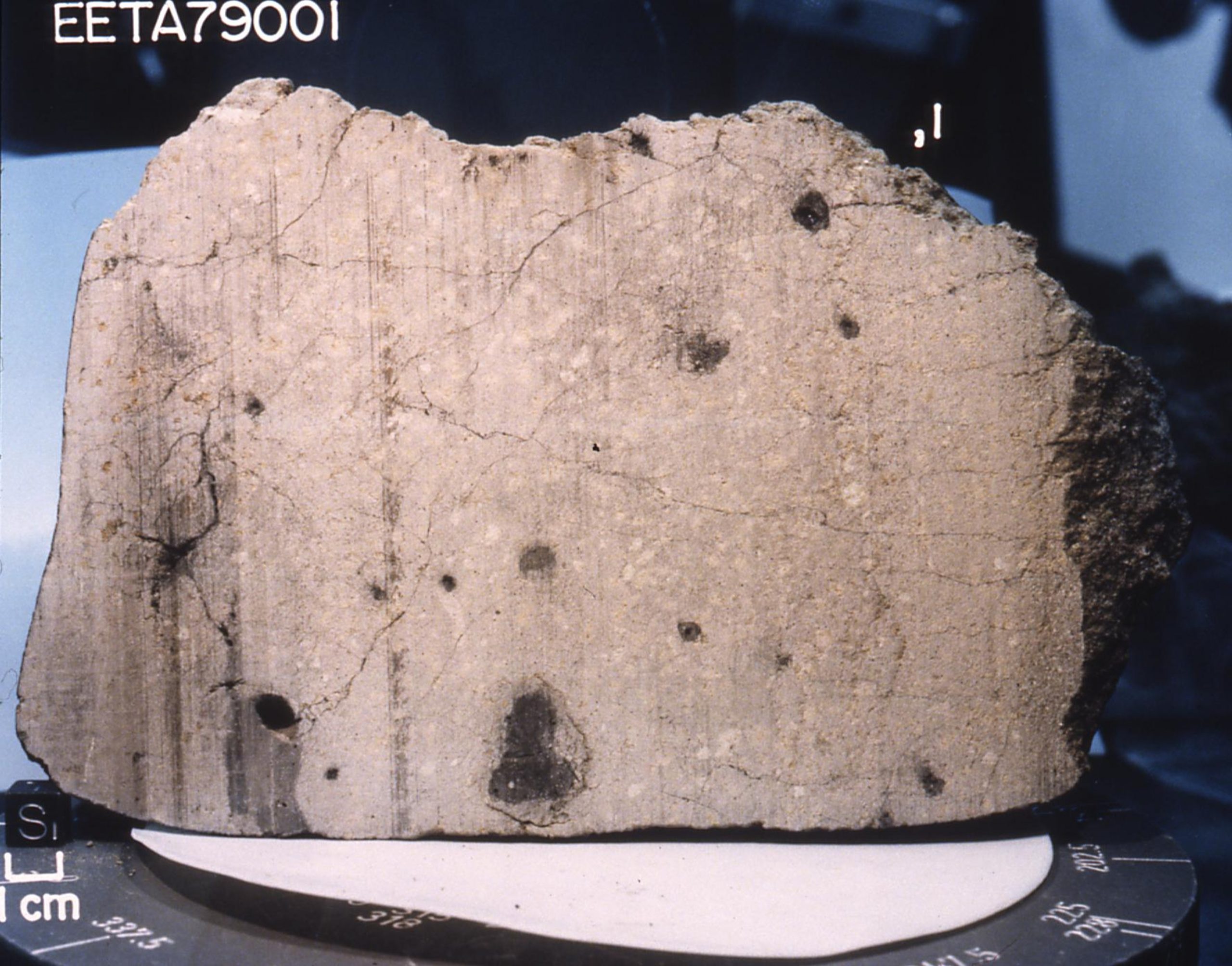 Meteorite Elephant Moraine