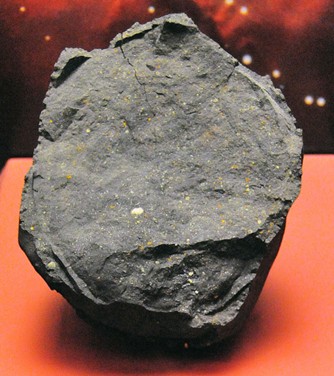 Meteorite Murchison